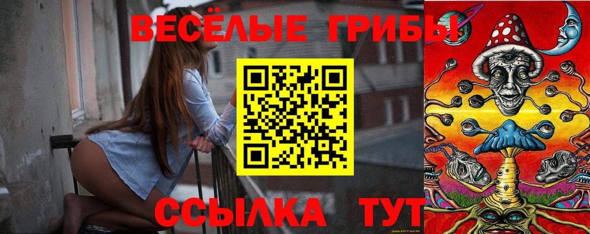 купить наркотик  Вход с VPN  Менделеевск  Галлюциногенные грибы прущие грибы 